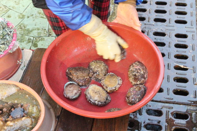 あわび　偶然居合わしたおじさんと共同購入することに＾＾<br />うちらは３万ウォンで　３匹ゲット。得しちゃった。