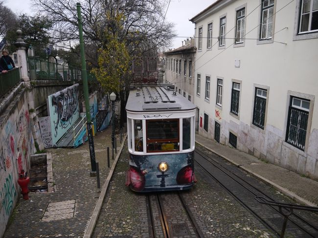 あまり時間がないので写真だけ撮ってちょうど出発しそうだった下りのケーブルカーに乗る。<br />さっき乗ろうとしてた上りのケーブルカーとすれ違う。<br />