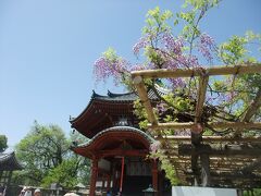 こちらは南円堂です。