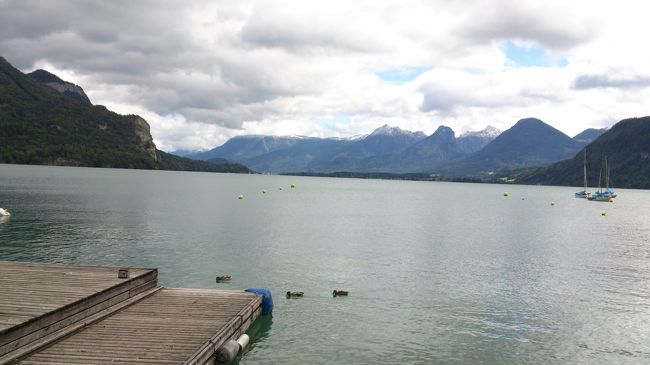 水鳥が遊んでいますよ・・・<br />水面も穏やかなヴォルフガング湖！