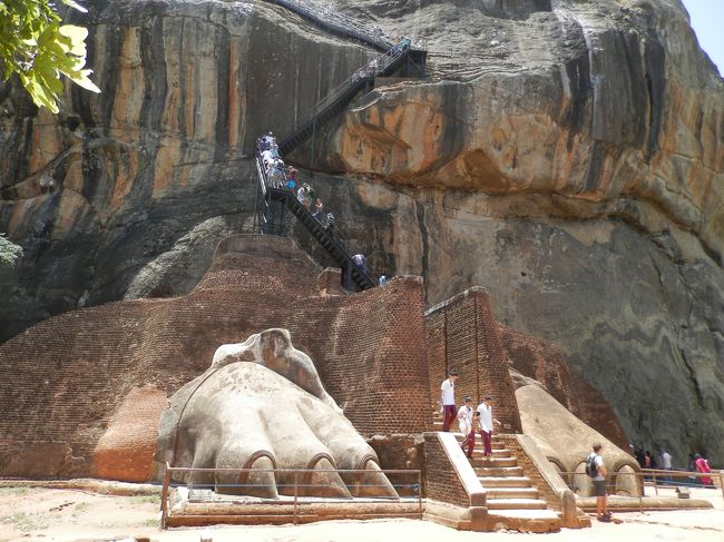 威嚇しすぎではないかい？<br />ライオンテラスというらしい