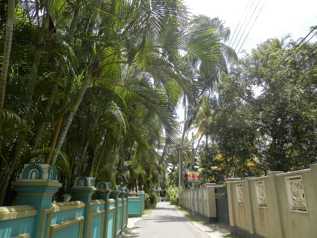 宿周辺をお散歩。<br />やっぱり南国はいいなぁ〜<br /><br />まだまだ見どころは沢山あるので絶対また行きたい！<br />また帰国したら現実逃避病になるのは確実だけど、旅行するために仕事頑張ろうと思ったこの旅でした。