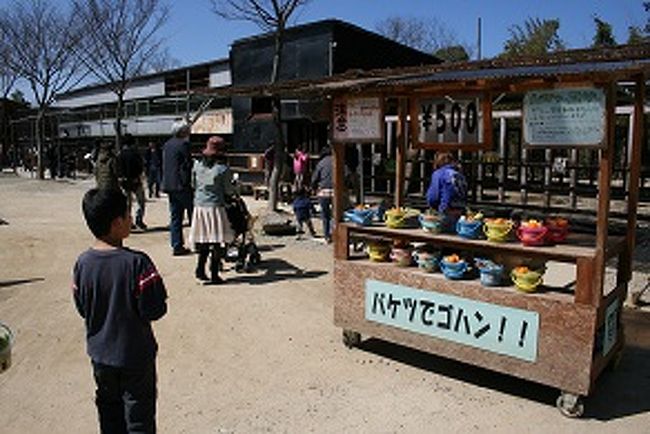 『新屋島水族館、しろとり動物園とうどん店めぐり』香川県の旅行記・ブログ by carryさん【フォートラベル】