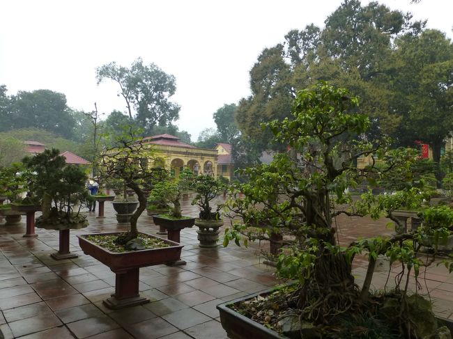 掃除が行き届いた中庭