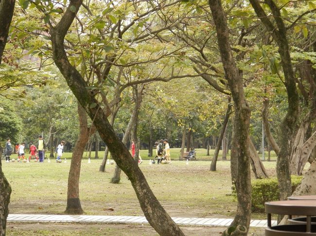 サッカーしてたり。