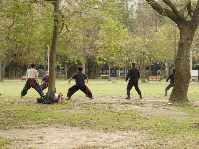 太極拳してたり。