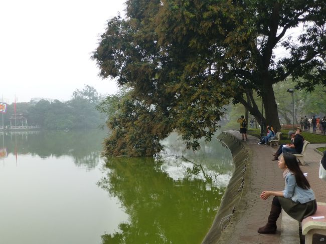 未だ雨は止みません<br /><br />湖に生えて言っている言われる<br /><br />有名な木立を眺めながら歩きます