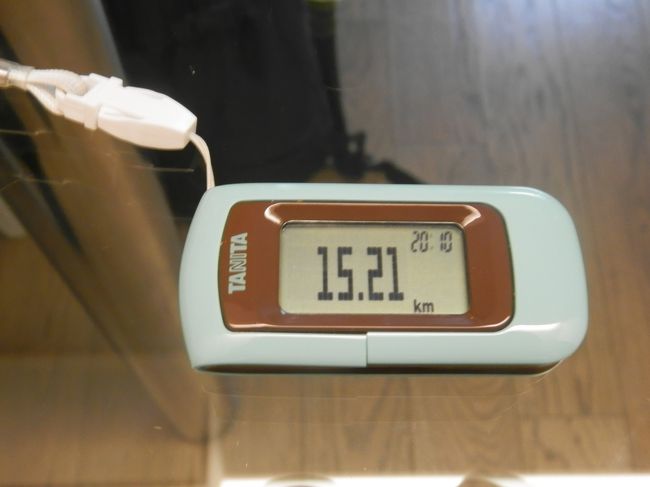 本日の走行距離。<br />普段運動しない私にしては歩いたなぁ