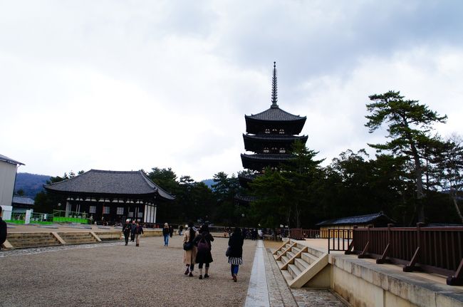 南円堂からさらに奥へ向かうと…