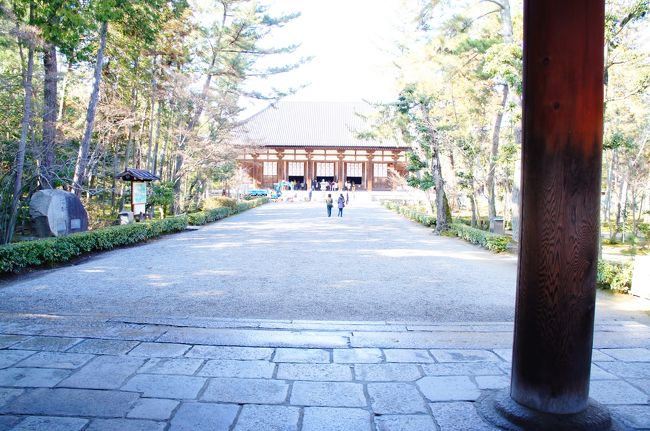 最後は唐招提寺。<br /><br />5度渡航に失敗してもあきらめずやってきた鑑真和上のお寺です