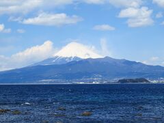 東京に出張中だった、だんなさんと三島で落ち合い、

レンタカーを借りて西伊豆ドライブの始まりです。