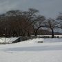 雪の北上展勝地＆SL