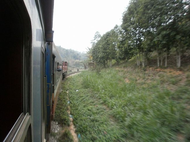 朝起きて、ベトナム北部の車窓を楽しみました。
