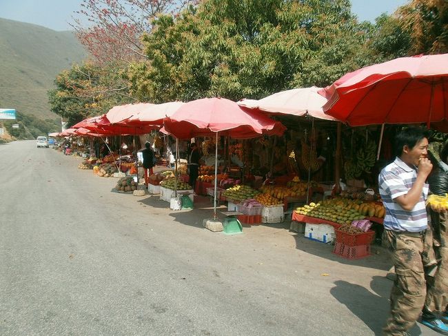 バスの休憩及び、荷物の受け渡し場所で、果物の屋台が沢山出ています。<br /><br />この地域は南洋果物の産地らしく、バナナ、パパイヤ、椰子、パイナップル、マンゴー等が売店にありました。