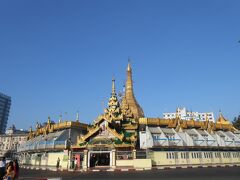 2/5
スレーパヤーの見納めです。

