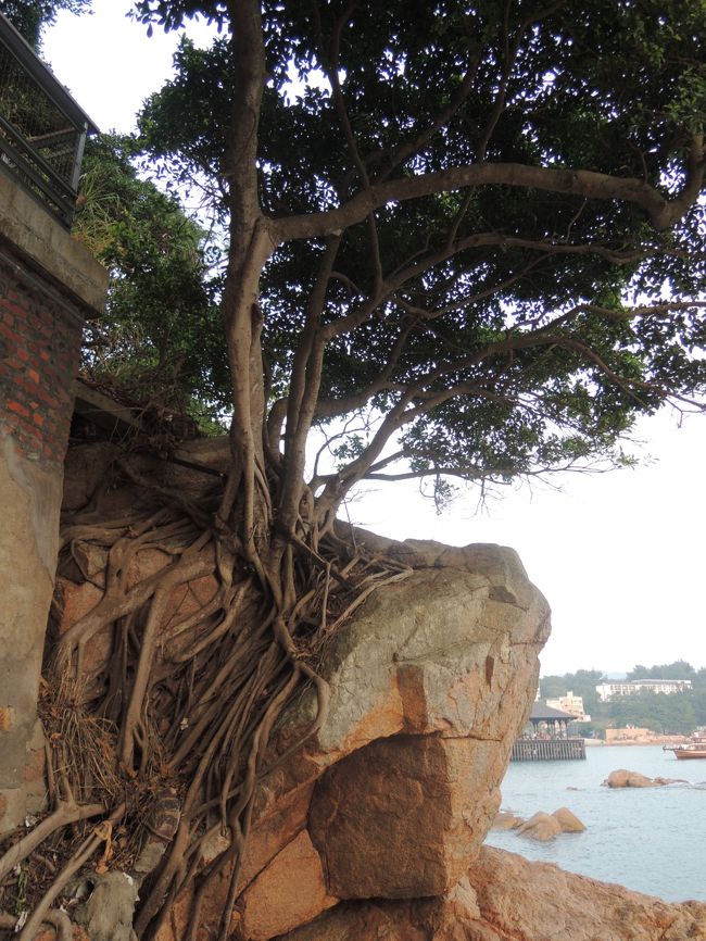 祠横を下りてみました。