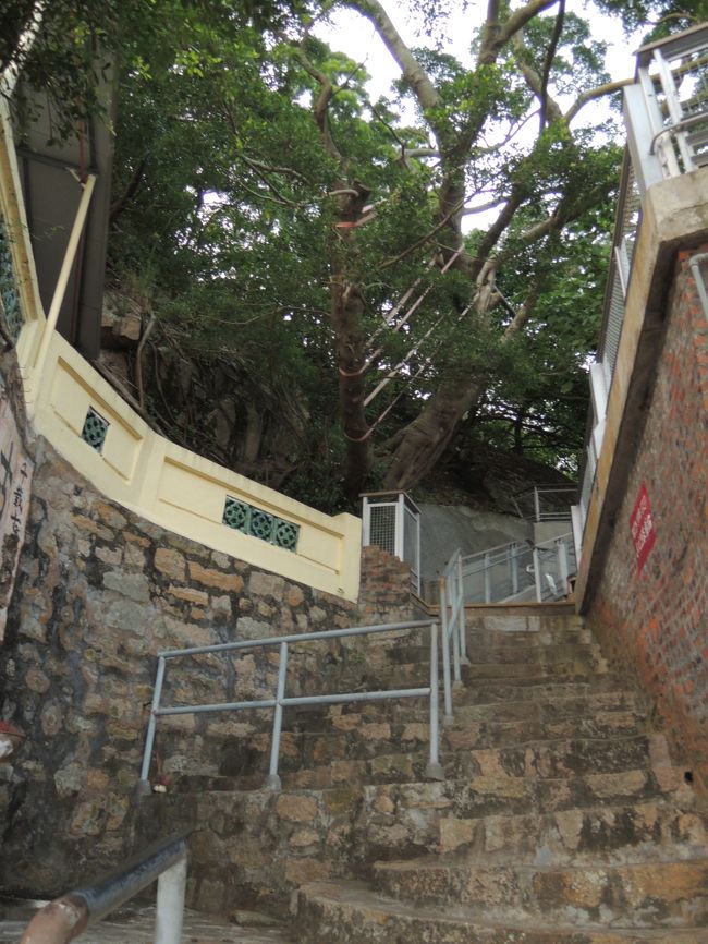 見上げるとこんな感じ