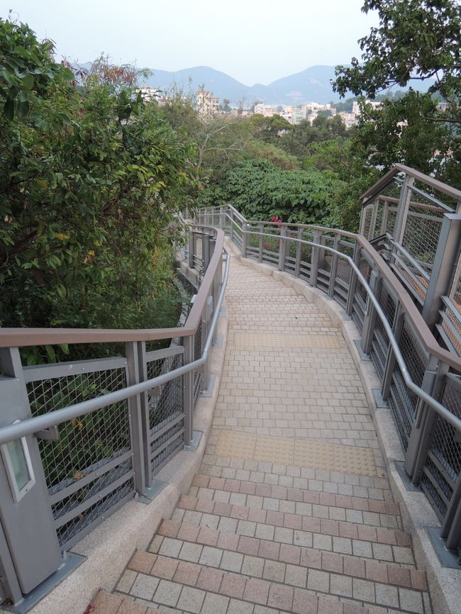 散歩道を上まで上がってみました。