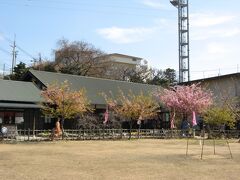 「雛の館」全景

さて、充分に見学したので、ぼちぼち駅に戻ろう