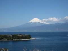 海岸線を走る県道17号線は少々狭くて曲がりくねっているものの、海・漁港・富士山を楽しめる素敵道路でした。途中水面が富士山の雪の白さを映してキラキラ輝いていたのが素晴らしかった。停車して眺めていたかったのだが、ちょうど停車出来る場所が見つからず残念でした。大瀬崎を望む高台は無料の駐車場が有り、まさにガイドブックの写真どうりの絶景が眼下に広がり、感動しました。
富士山をバックに家族揃ってパチリ♪早くも来年の年賀状写真が撮れました。