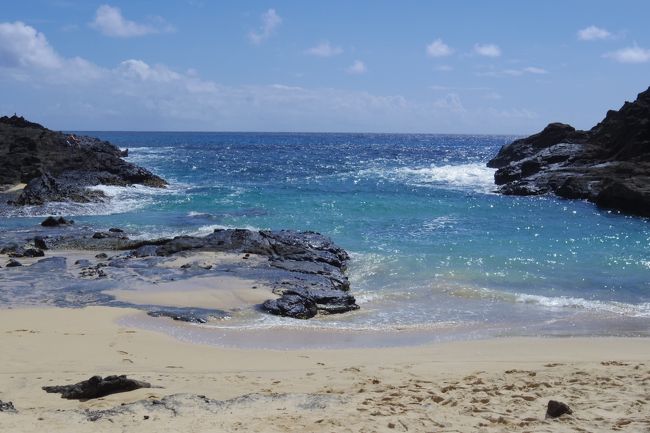 下まで降りていけます<br /><br />階段とかないのでちょっと危ないけど