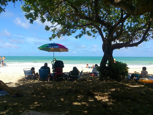 みんなのんびり過ごしてますね