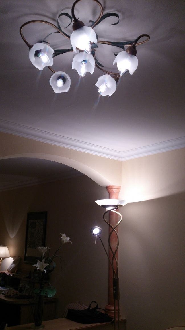 スズランの明かりをおとして休みます。