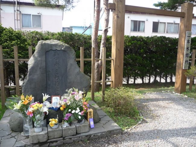 こんな感じでした。