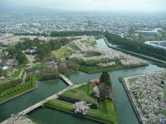 五稜郭タワーに上りました♪