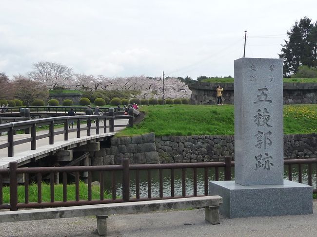 五稜郭公園へ