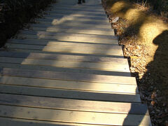 稲荷山から高尾山頂までは気持ちの良い尾根歩き。
しかし山頂は人が多くて落ち着かない。
というわけで奥へと進む。