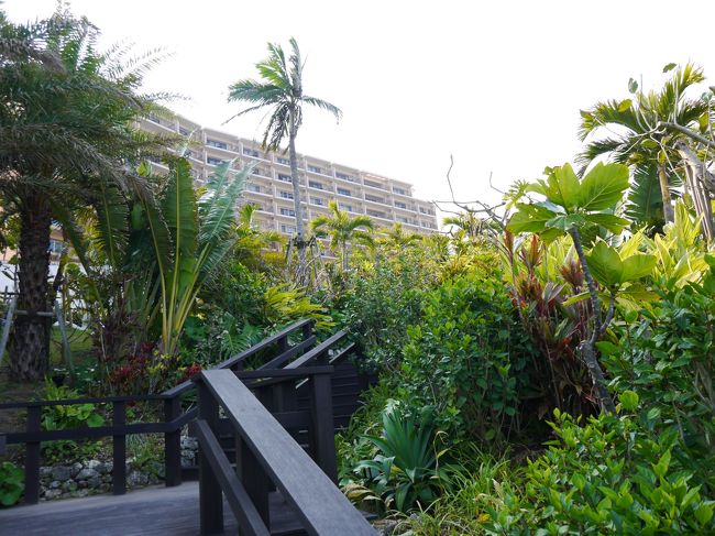 ガーデンウォークはちょっとした植物園のようです。