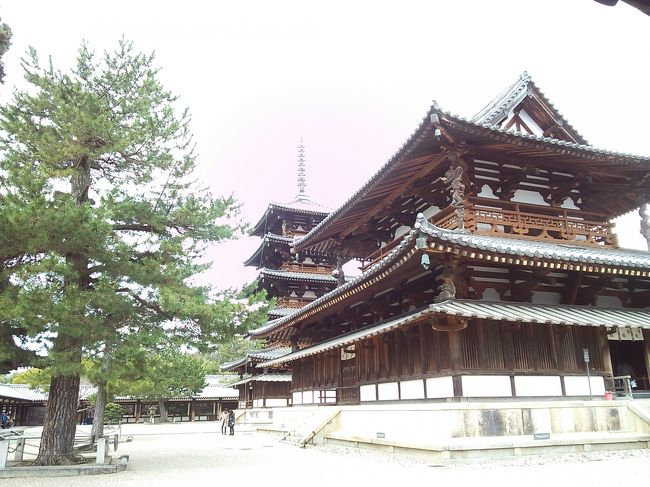 法隆寺・金堂<br />聖徳太子とお妃の病気回復を<br />祈って作られたとのこと。<br />釈迦三尊像はこちらに。