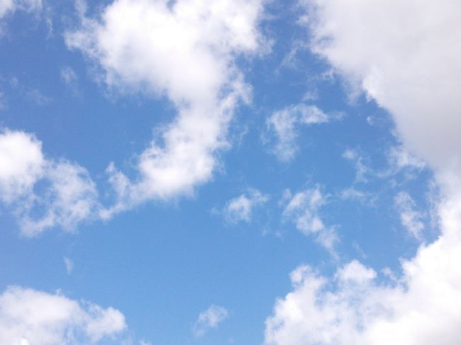 近鉄・大和西大寺駅で<br />教えてもらった平城京跡辺りなのに<br />ただの野っ原〜。空が青い。<br /><br />道を聞いたお散歩中の奈良マダムが<br />じゃあ連れてってあげるってことで<br />朱雀門までご一緒いただく。<br />奈良県民みんな親切。