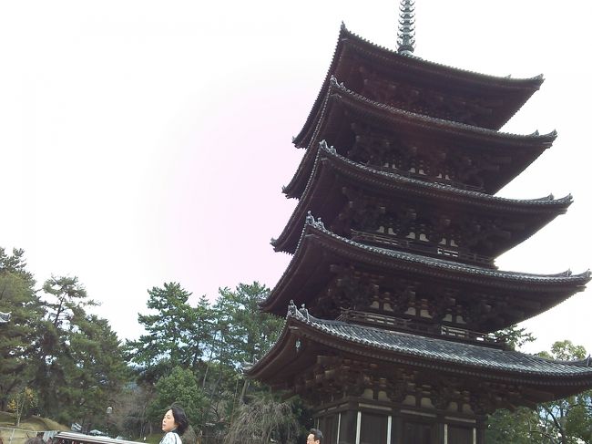 興福寺・五重塔は奈良のシンボル。<br />木造の塔としては<br />京都・東寺に次ぐ日本2番目の高さ。<br /><br />