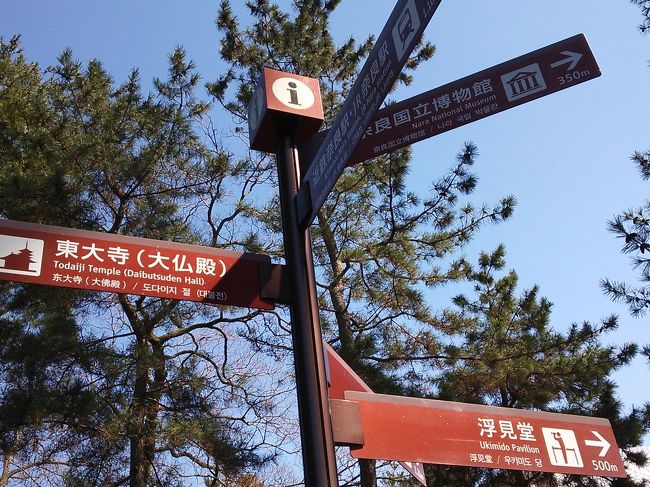 東大寺南大門へ向かうところ<br />鹿が増えてきます。<br />鹿せんべい（150円）を買った途端に<br />襲われる婦女子及びキッズ多数。<br /><br /><br />