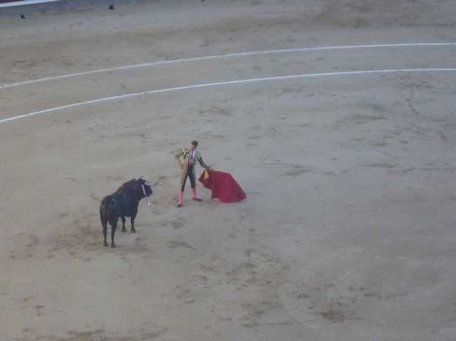 要は、闘牛と闘牛士との戦いなんだけど、一対一での対決は最後だけ。<br />その前は、４人くらい闘牛士が現れて、剣を闘牛に刺していく。<br />弱ってもなお闘志を燃やす闘牛。が、しかし３本も剣を刺されては<br />弱っていく。そこに一番上手な闘牛士が現れて、とどめを刺す。<br /><br />闘牛は死に、馬に乗った闘牛士により運ばれていく。<br />これを、４〜５回繰り返すだけです。はっきり言って残酷です。<br />もう、二度と見ないと思いますが、いい経験になりました。<br />これがスペインの伝統なのでしょうね。地元の人達は闘牛が<br />死ぬたびに喜びの声を上げていました。文化の違いです。<br />