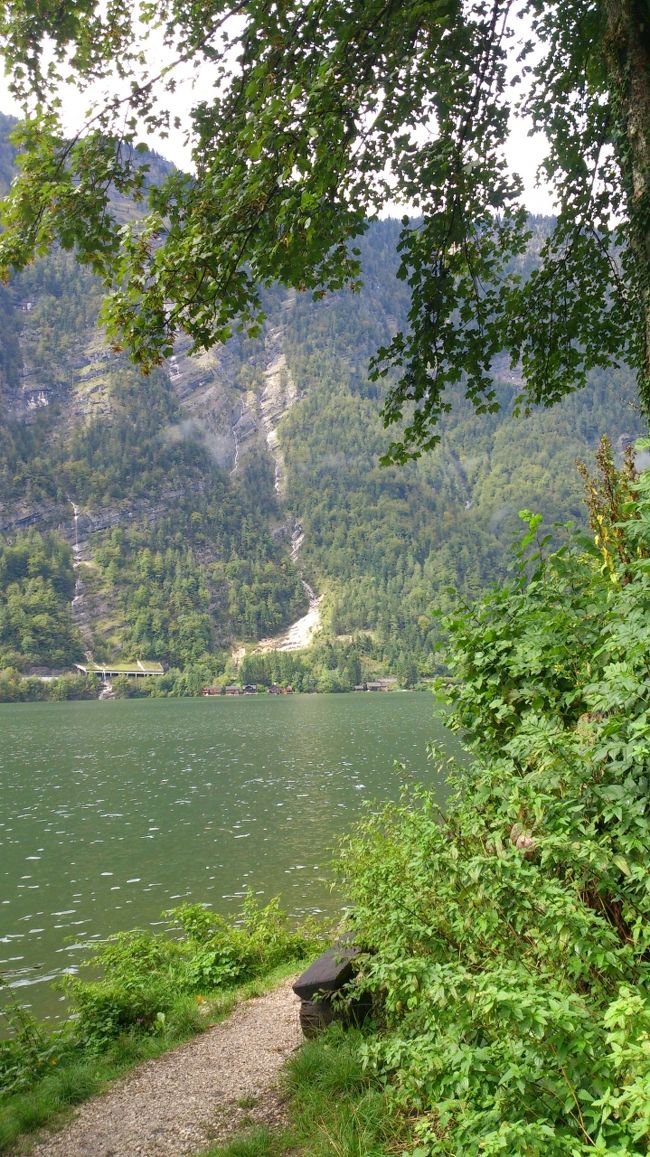 左に小道を発見！　　行ってみよう〜　