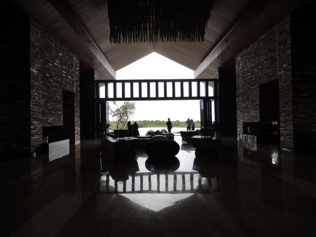 RIMBAのロビーです。