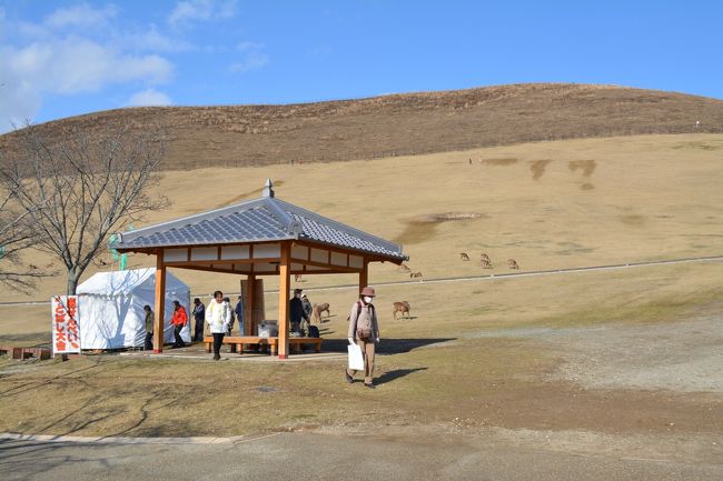 春日大社へ向かう途中に若草山。<br />この季節なんで若草感ゼロ。<br /><br />この日は鹿せんべいとばし大会が<br />あったようです。↑本当です。