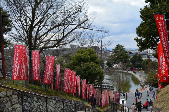 猿沢池からの興福寺への石段。<br />猿沢池は亀のひなたぼっこで有名。<br />この日は寒さのせいか姿は確認できず。<br /><br />猿沢池からのぞめる<br />興福寺五重の塔ってのも<br />イイらしいです。<br /><br /><br />
