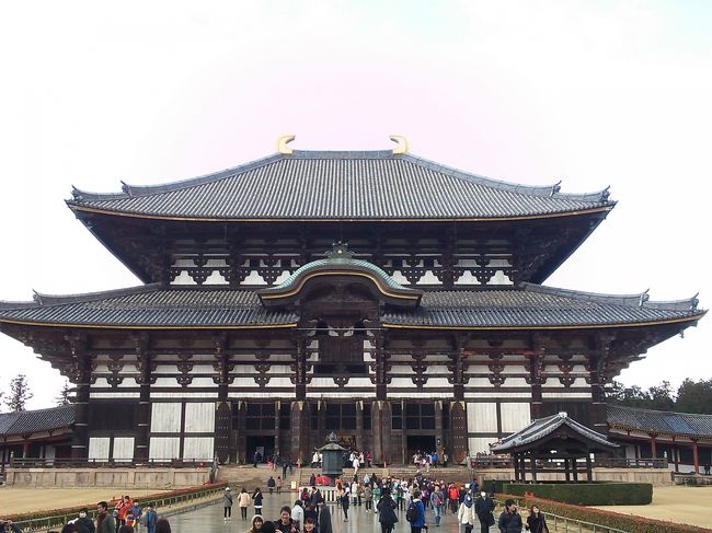 世界最大の木造建築として<br />広く知られていた大仏殿。<br /><br />近年では建築資材の発達でここよか<br />大きな木造建築が建造されてーの、<br />大仏殿は「木造軸組建築」として<br />世界最大。<br />↑ここ、試験にでますよ〜。 <br /><br />