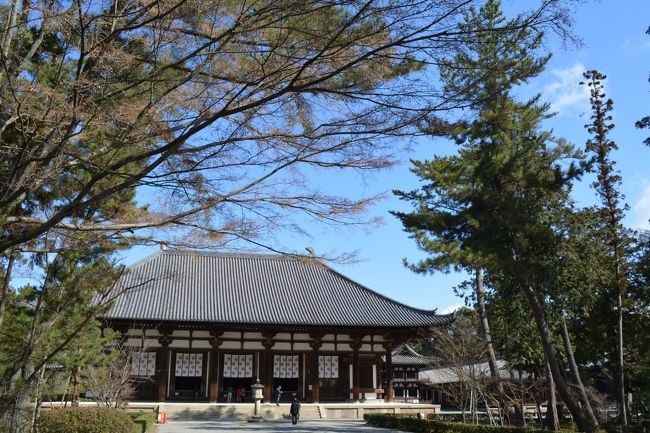 薬師寺から歩いて唐招提寺へ。<br />唐招提寺といえば鑑真。<br /><br />日本からのぜひにとの招きに、<br />その地位を捨ててやってきてくれた<br />中国でとても位の高い僧。<br /><br />日本に来た時すでに鑑真の目は<br />見えておらず、日本の寺院はもとより、<br />景色すら見ることはなかったそう。<br /><br />鑑真和上像の開扉は<br />6月6日の開山忌前後のみ。<br /><br />