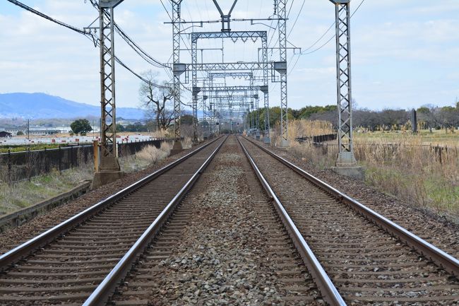 なぜか普通モードにもどって<br />京都へ続く近鉄電車の線路。<br /><br />この辺りで時間切れ〜。<br />お家に帰りまーす。<br />