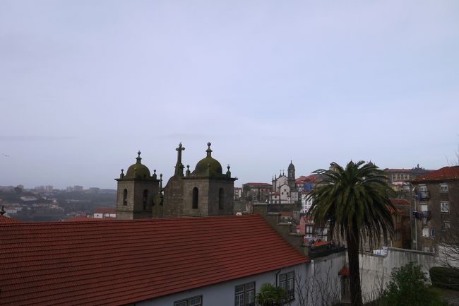 ヤシの木がちょっと南国っぽい。<br />