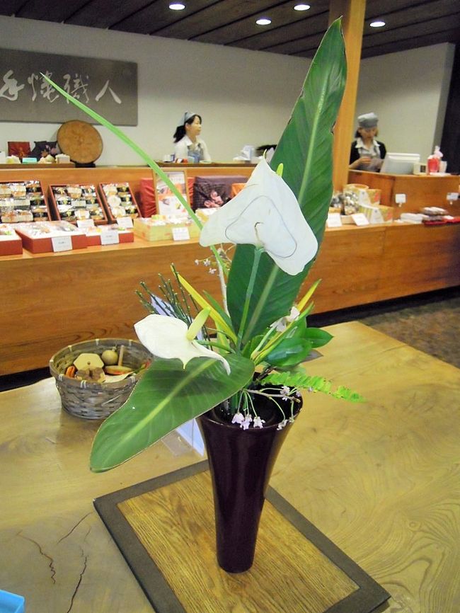 雨の中のお花見って結構面白かった V 本日ほとんど生中継 笑 草加 埼玉県 の旅行記 ブログ By ひろ ひろさん フォートラベル