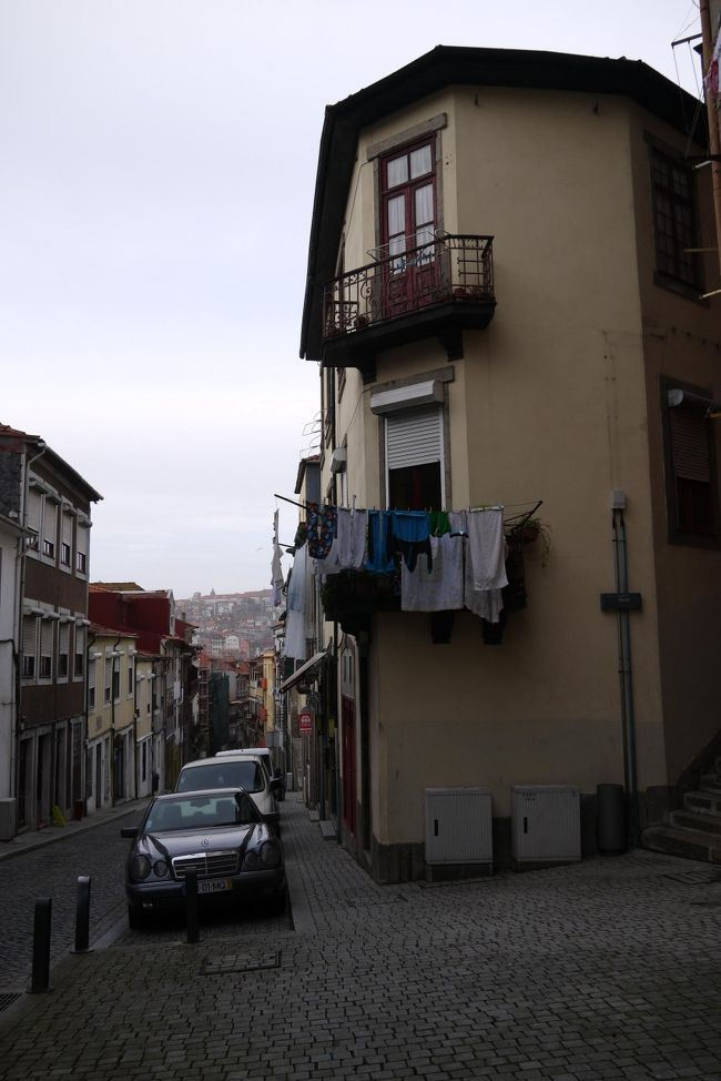 その後もワイナリーツアーを求めて坂を上がったり下りたり彷徨ったけど見つからず。