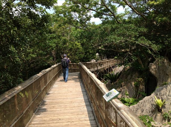 最初コースが重なるバリアフリーコースの部分はウッドデッキが整備されています