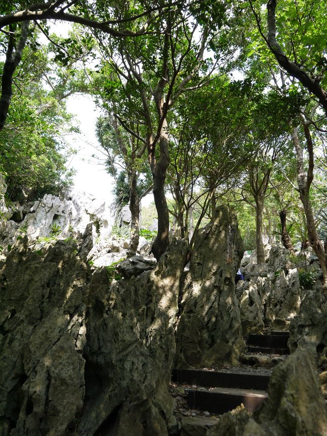 バリアフリーコースを外れるとこんな感じに、整備されているので歩きやすいです。