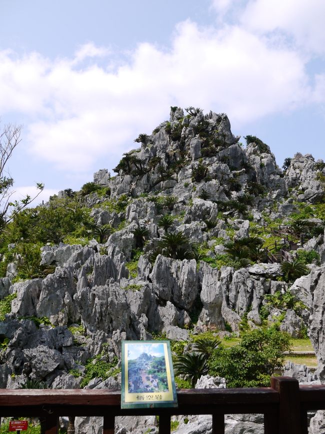 美ら海展望台コースのハイライトの一つ悟空岩
